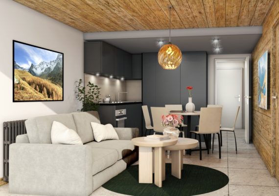 Réf 3490 - Projet de valorisation appartement