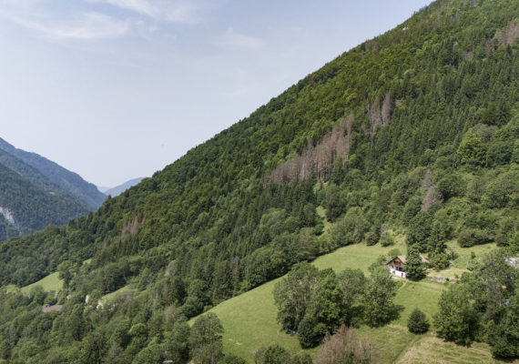 Réf 3530 - Chalet