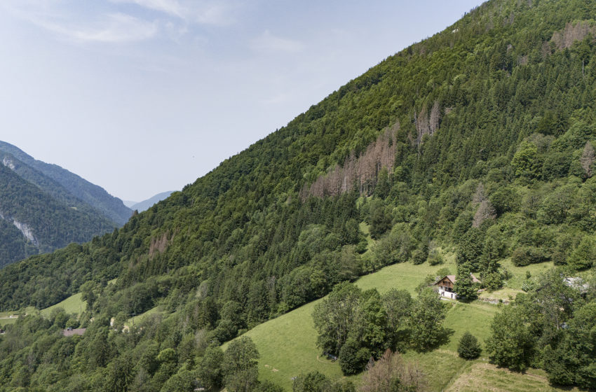 Réf 3530 – Chalet